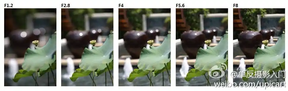 背景虚化效果越弱,见例图~当你需要背景虚化强烈的效果应使用大光圈