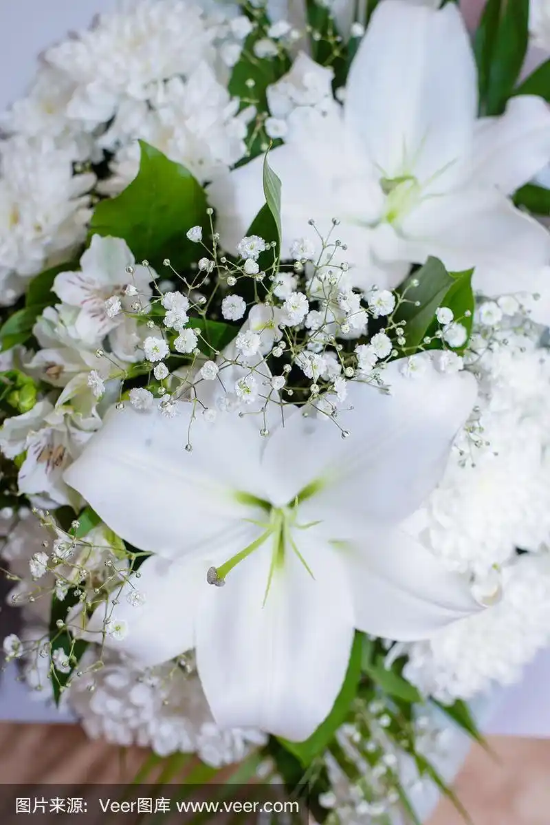 一束白色百合特写