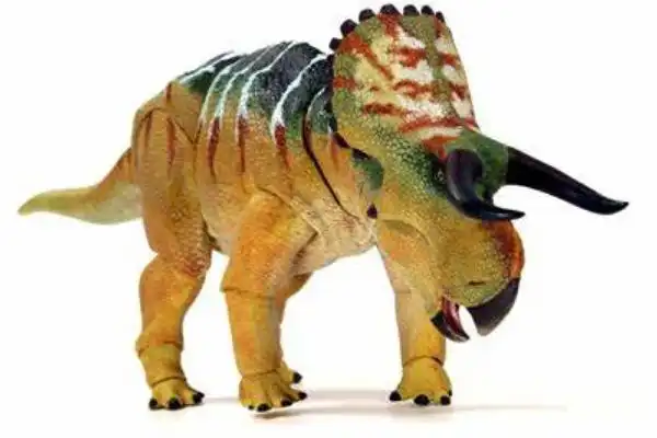 大鼻角龙:北美中型恐龙(长5米/鼻骨硕大隆起)