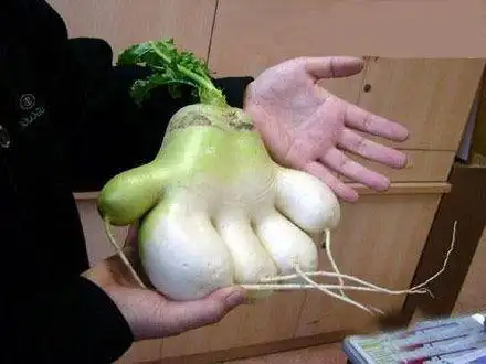 表情包搞笑莲花青温搞笑图片温太医搞笑图片温温搞笑图片姐姐结婚妹妹