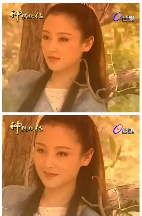 我才知道还有这么瞎的一部神雕侠侣