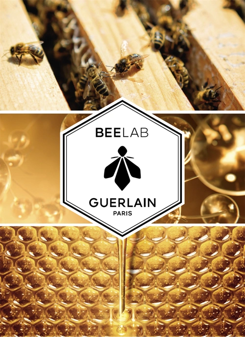 法国娇兰帝皇蜂姿紧致修护系列非凡修护力源自臻选蜂蜜x先进科技娇兰