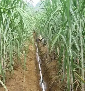 节水灌溉滴灌带