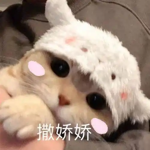 女人适当撒娇,是幸福的秘方之一_男人_生活_衣服