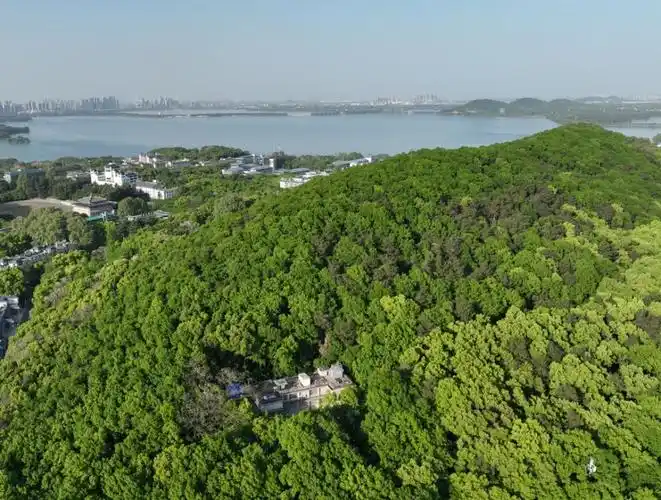 珞珈山上的神秘光束,究竟是什么?_腾讯新闻