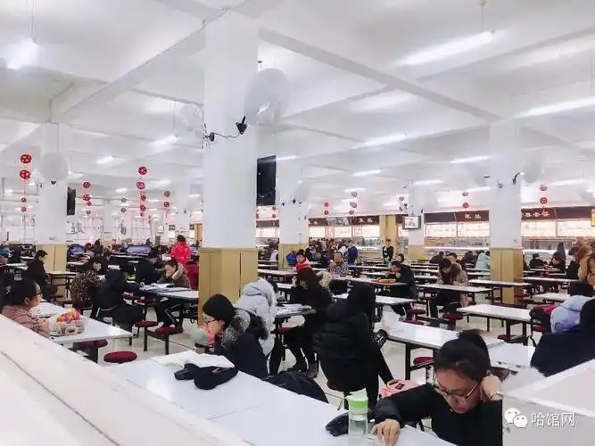 三月份的哈尔滨还在下雪,伴随着雪花一路来到工大,跟着人群非常迅速的