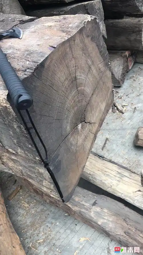 刀状黑黄檀急售 - 批木网