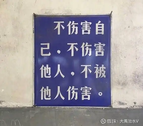 忘记哪个大v还是哲人说过