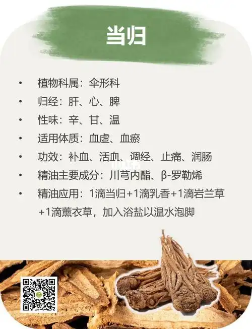 当归功效与作用当归功效与作用及食用方法