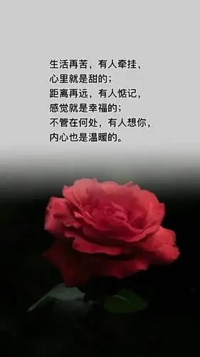 记录生活#生活再苦,有人牵挂,心里就是甜的;距离再远,有人惦记,感觉