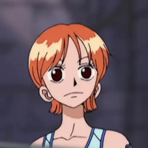 娜美 海贼王 头像 自截