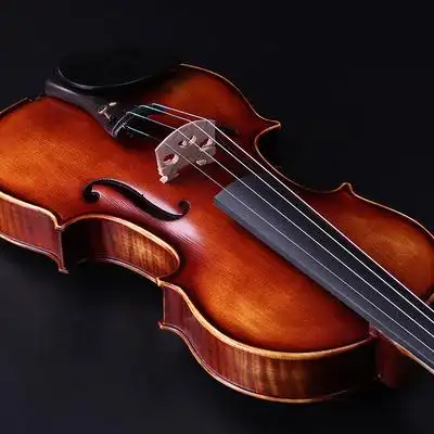 爱之声小提琴进口实木手工初学者儿童专业级成人考试考级练习乐器