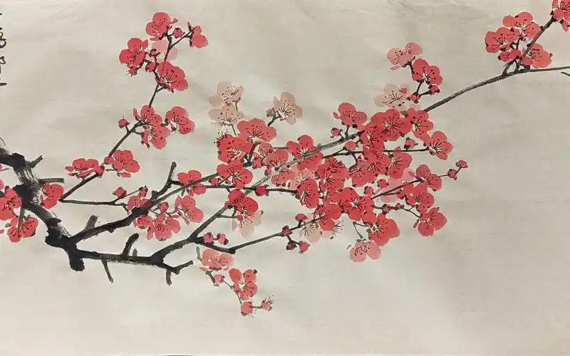 横幅朱砂梅花国画