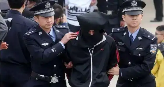 人在海外就能乱说话了一回国就被中国警方逮捕