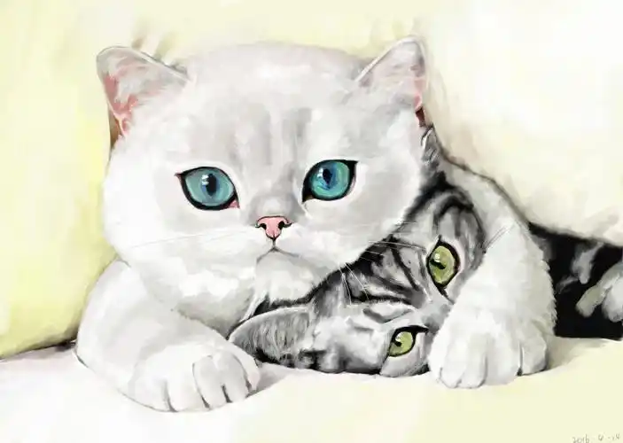 写实猫|插画|插画习作|小粥同学 - 原创作品 - 站酷 (zcool)