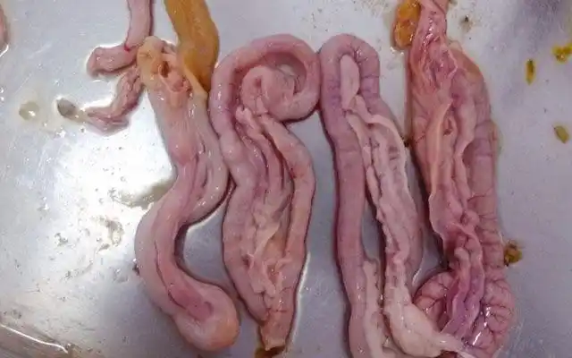 猪身上的,再贵也得吃,降血糖贼快!_手机搜狐网