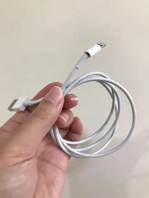 每日一扔断头苹果数据线