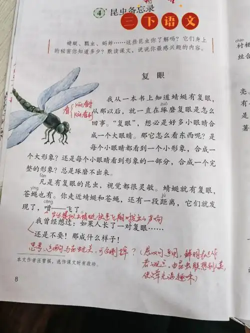 部编三下语文昆虫备忘录
