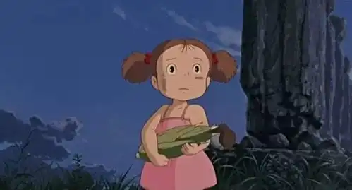 每天都被农药我只想拥有龙猫里的田园生活