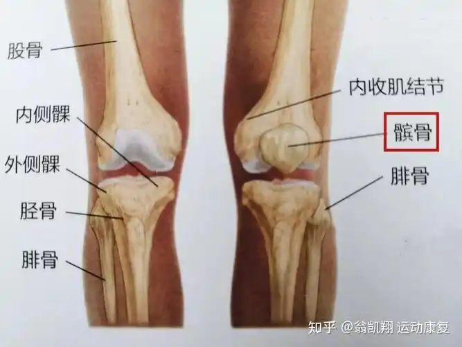 髌骨骨折术后如何系统康复训练