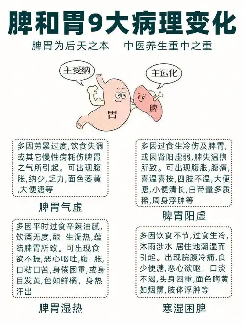 脾胃九大常见病症方便自我调理之用