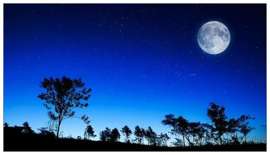 七绝夏初月夜独行新韵