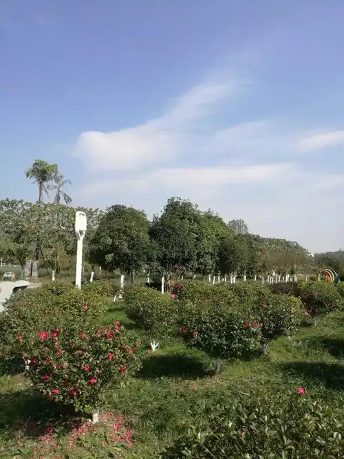 四川绵阳爱情谷景区