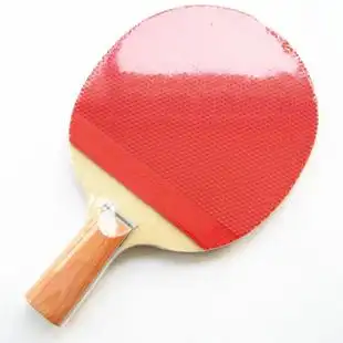 直拍乒乓球拍双面长反胶成品狂飙拍套特价乒乓球成品拍