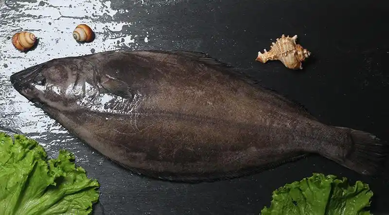 比目鱼-烟台深海鱼加工,烟台比目鱼寿司,烟台箭齿鲽寿司,烟台紫薇食品