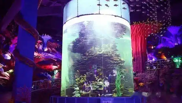 蓬莱海底世界蓬莱阁一日游