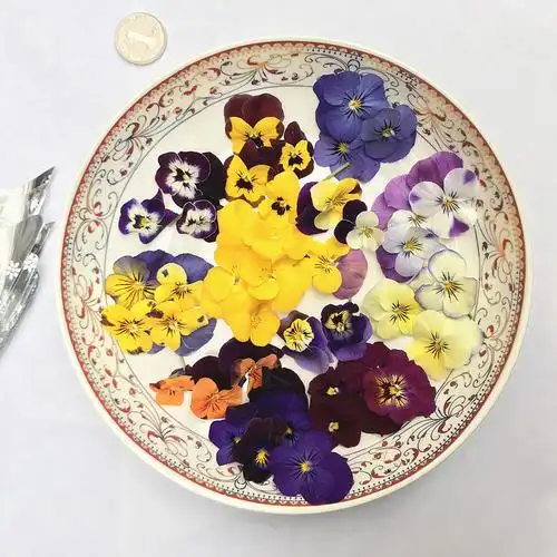 新鲜三色堇食用花西餐摆盘花草装饰菜可食用鲜花点缀 50朵/盒/件