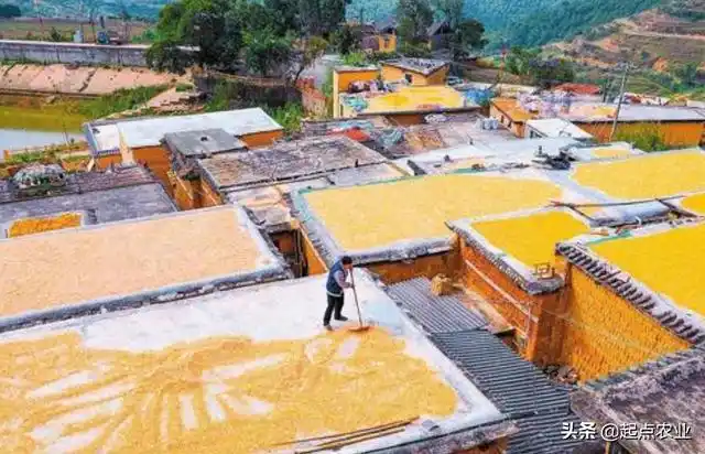 为什么北方的农村大多都是平房有什么讲究