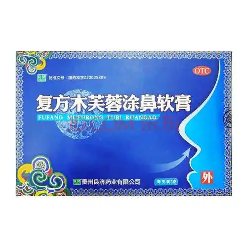良济 复方木芙蓉涂鼻软膏 3g 用于流行性引起的鼻塞 流涕 打喷嚏等症