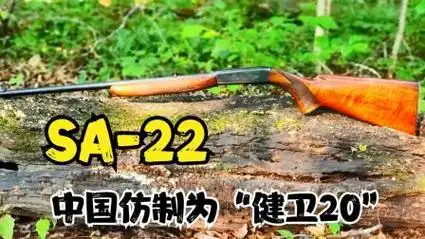最早的.22lr量产型步枪,中国仿制为"健卫20",一代经典