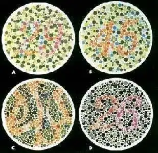 "能力宝贝成长营"第十期