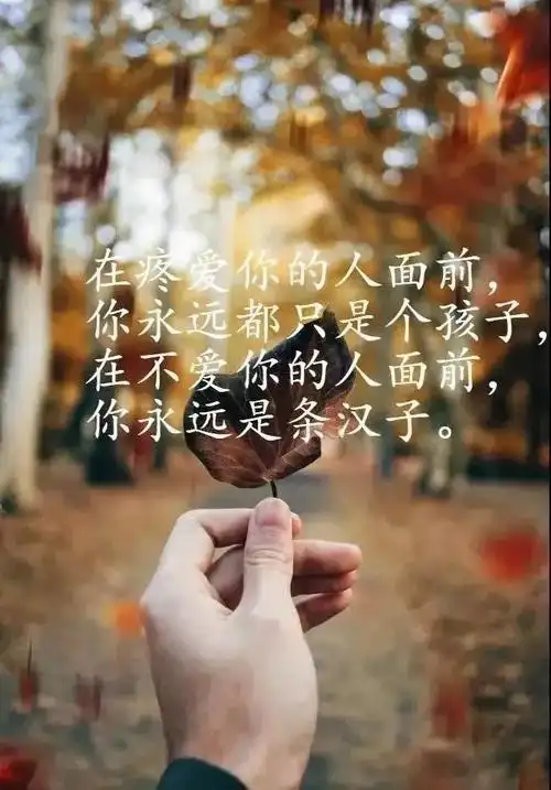 经典人生感悟短句集锦85条 人生可能不如你所愿,愿有人与你并肩前行