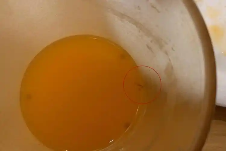 萨莉亚承认蟑螂问题属实,公开致歉,所有门店停售自助饮料