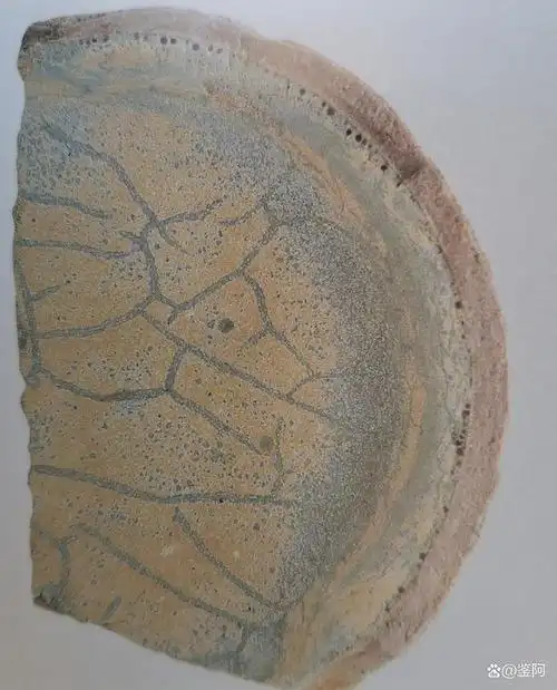 浅论钧窑之蚯蚓走泥纹