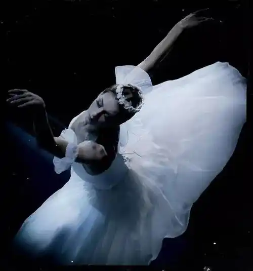 最懂舞蹈中那些惊心动魄的唯美瞬间!_芭蕾_世界_国际