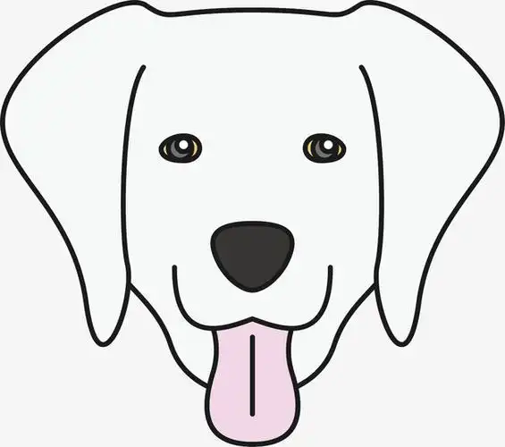 白色拉布拉多矢量狗头哦