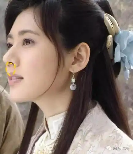 鼻宽脸平,却统一中韩审美,还能吊打张柏芝黄圣依?她凭啥?