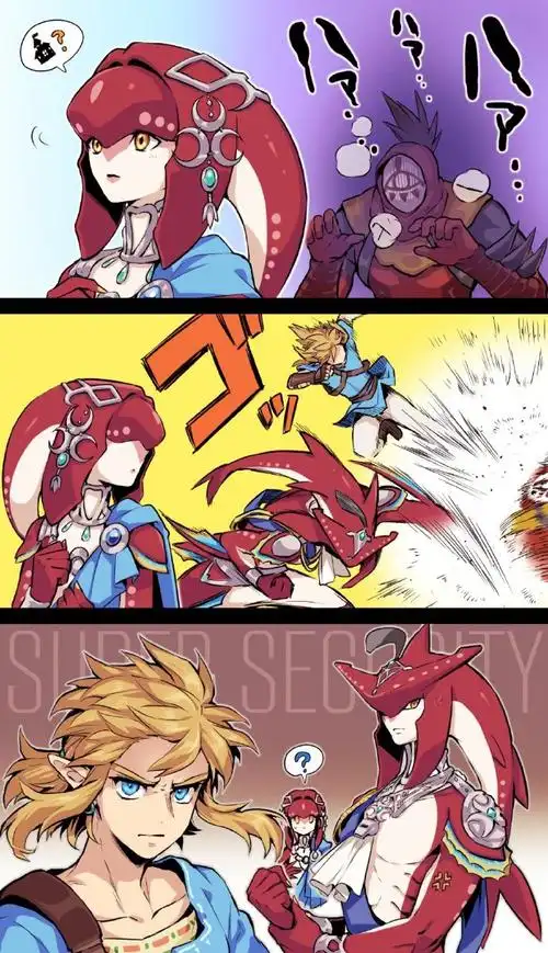 米法守护者#塞尔达传说#(via twi nmdane151)