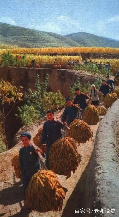 怀旧影像:一组上世纪七十年代全国各人民公社的彩色老照片