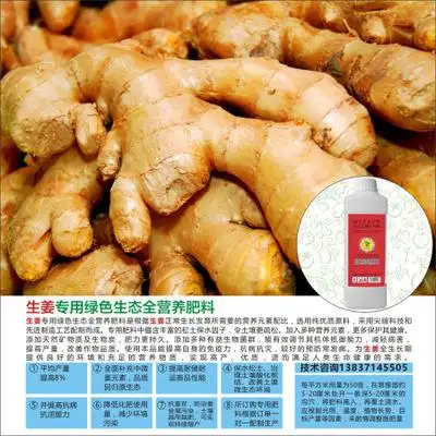 出口品质誉中奥绿色生态全营养生姜专用复合肥料500克厂家直销