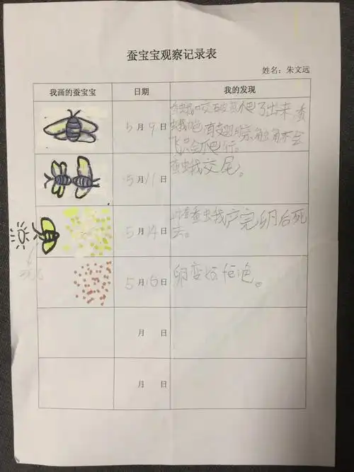 春蚕吐丝,破茧成蝶——宁波市广济中心小学103班 朱文远(指导老师