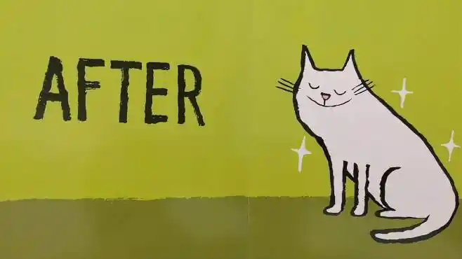 幼儿趣味益智故事绘本《before and after》以前和以后