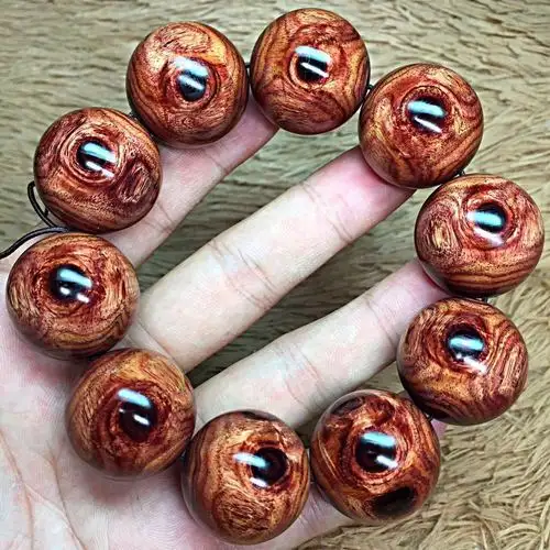 精美紫檀柳,不同于海黄的另一种美