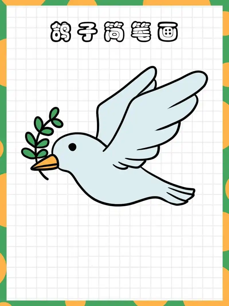 尼尼简笔画|鸽子简笔画vol.