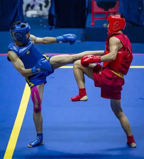 "星盟赛城杯"2019年"上合组织"国际武术散打争霸赛