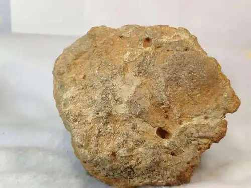 拉赫玛迪月球陨石